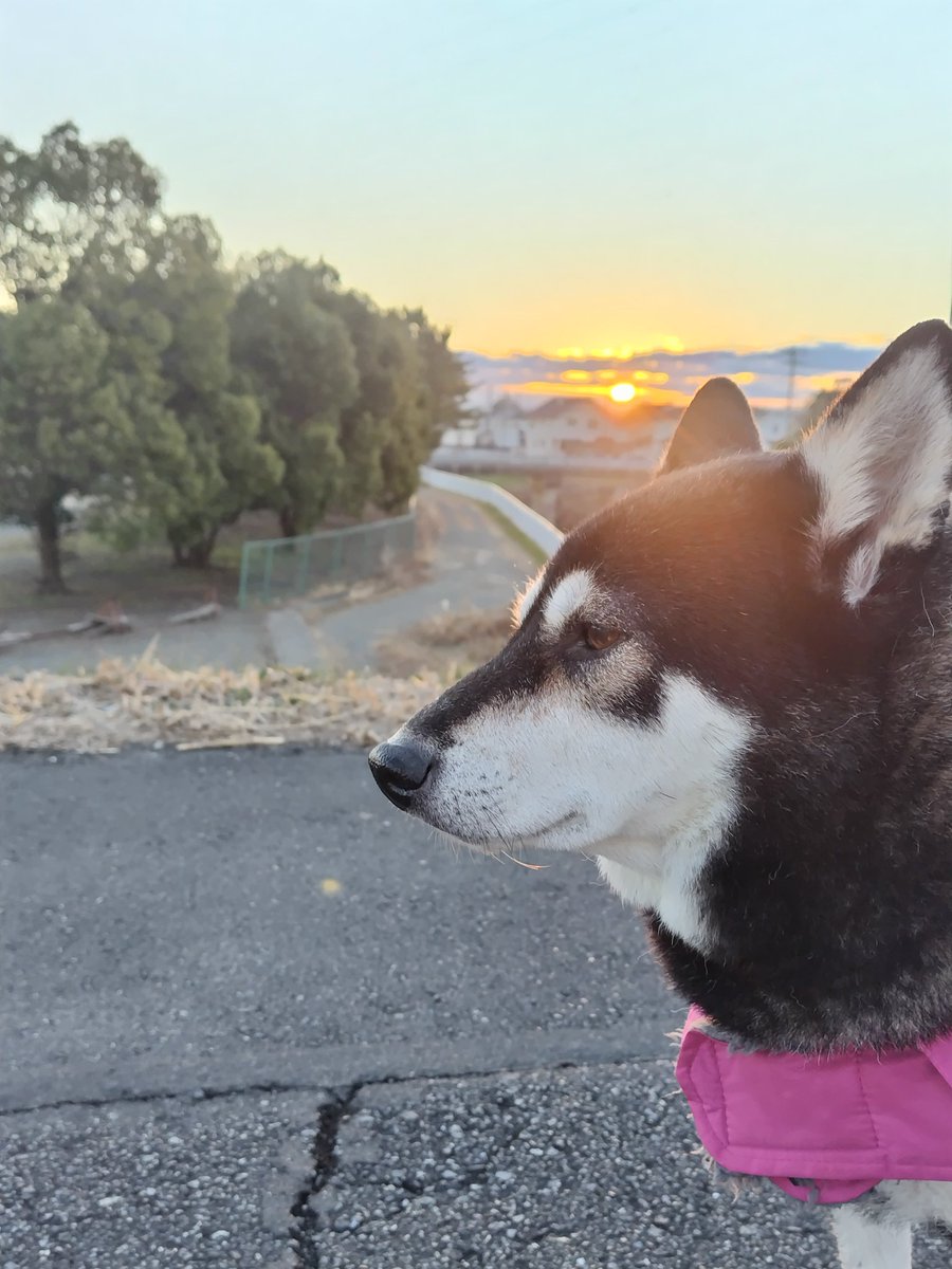 yipo121's tweet image. 初日の出の直前の山がキレイだったし、雲が多めで、なかなか顔を出さなかったけど、今年も無事新年を迎えられました。

笑顔溢れる良い年になりますように。