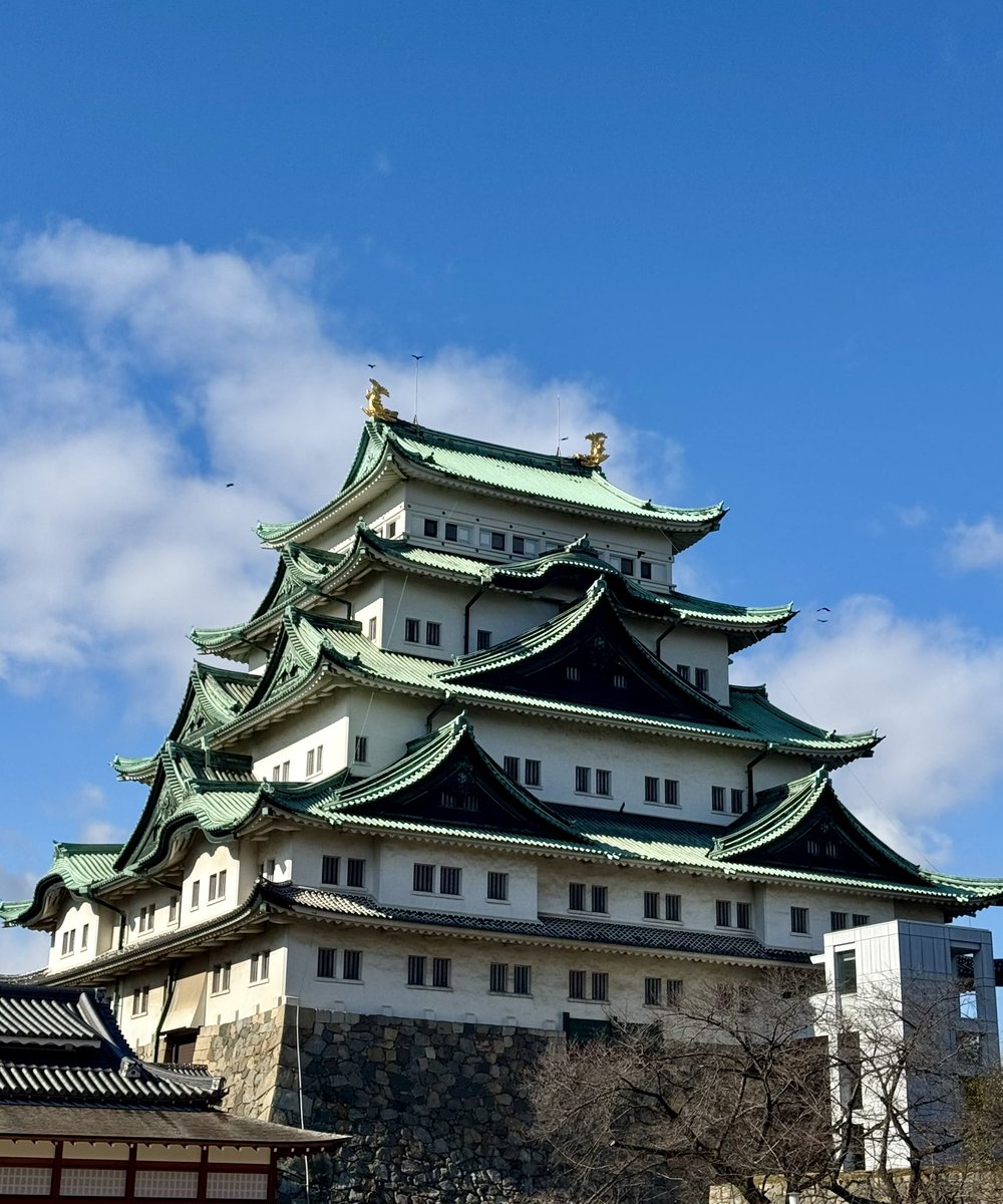 あけましておめでとうございます🎍