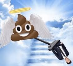 Bro my city has so many trees I couldn't see the fireworks 😔