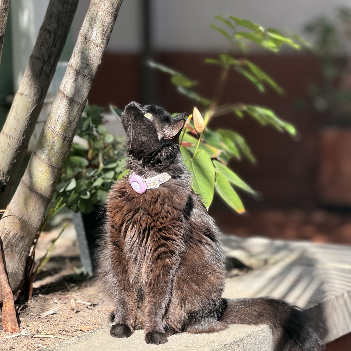 imsofipo's tweet image. 2025 fue un año lleno de aprendizajes en todo el aspecto de la palabra. Constantemente extraño a mi abuelita pero estoy segura que ella está con mi familia hoy y siempre. Estoy muy agradecida con las personas que me rodearon durante estos 12 meses. Feliz año nuevo para todos!❤️🎉