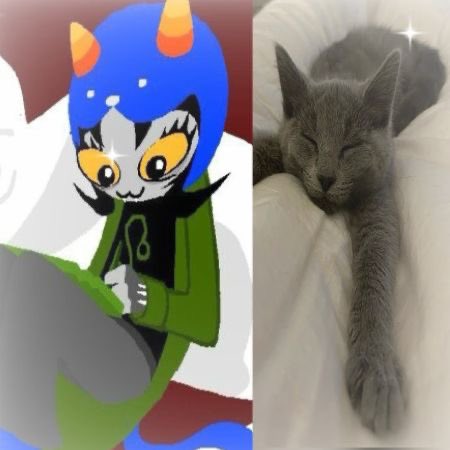 cassy ੈ✩‧₊˚ tweet media