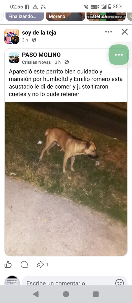 Ans (@anaalfo1000) on Twitter photo 