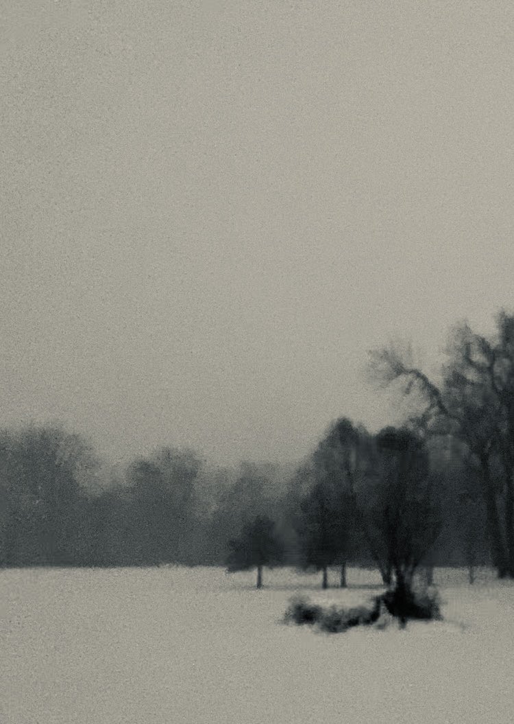 George44716363's tweet image. 