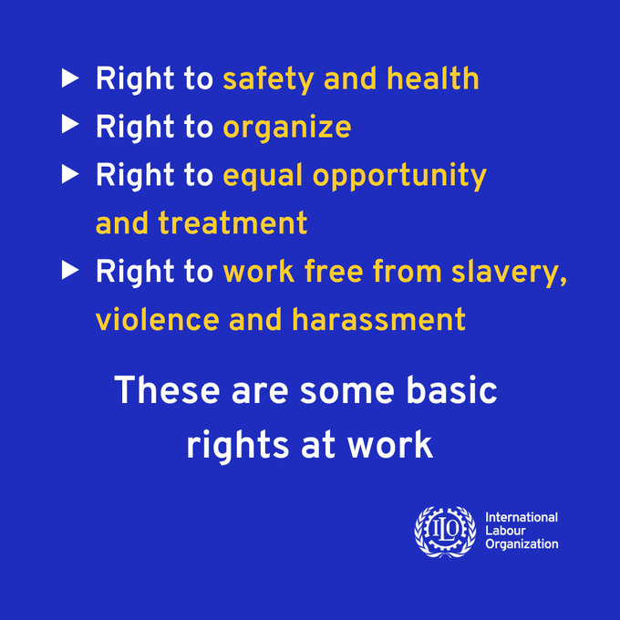 International Labour Organization tweet media