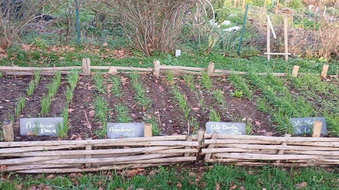 Image de l'actu de Presse Océan