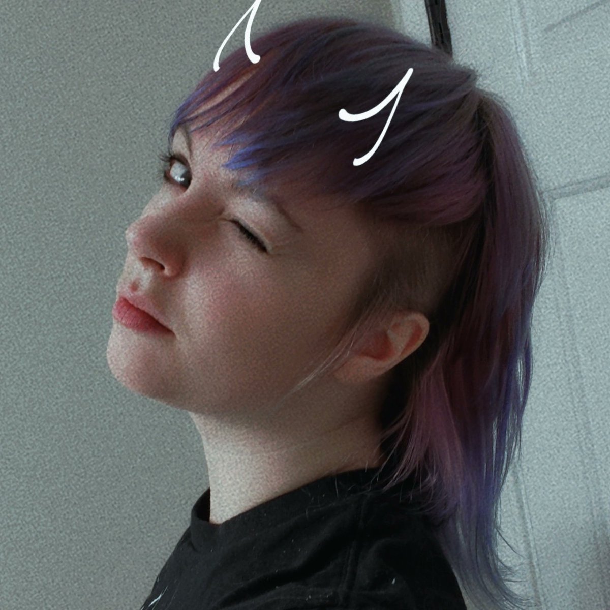 ✨ Koa ✨ tweet media