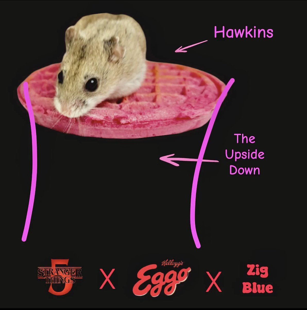 The best collab to recharge your batteries! 
StrangerThings x Eggos x Ziggy Blue
🙃❤️‍🔥🤘
#StrangerThings5 #StrangerThings #hamsters