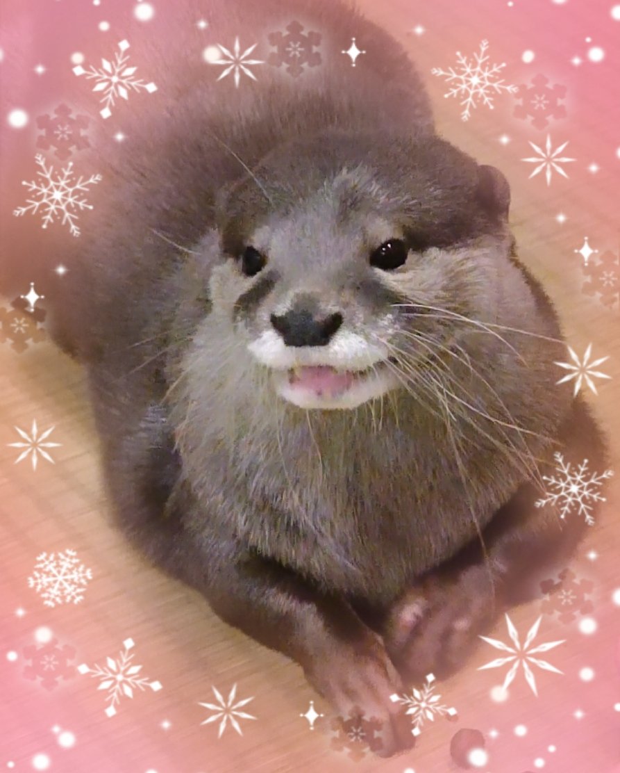 2026年
Zoo活もウソ活も復活できるように休日を有意義に使う‼️
🤣🤣🤣