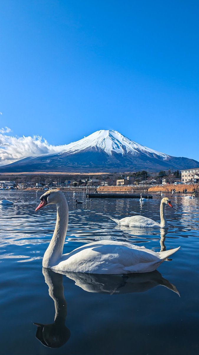 В первый день нового года считается хорошей приметой посмотреть на Фудзи. 
Я вот посмотрела, теперь посмотрите и вы.