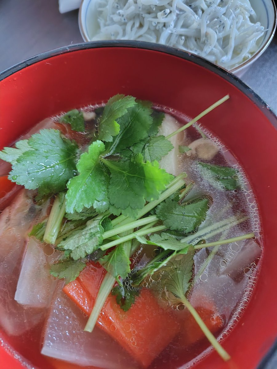 tirsdisk's tweet image. お雑煮作った！我が家のお雑煮は鶏肉と出汁と香り付け程度の醤油と塩。しいたけは嫌いなので入れませんw
しらすご飯は静岡から送ってもらったー🤤