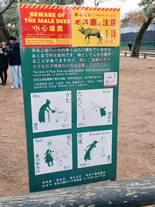 初詣