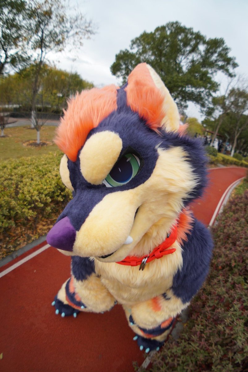 梓夏🐾Tsuha🐾ツハ🔜UTFG tweet media