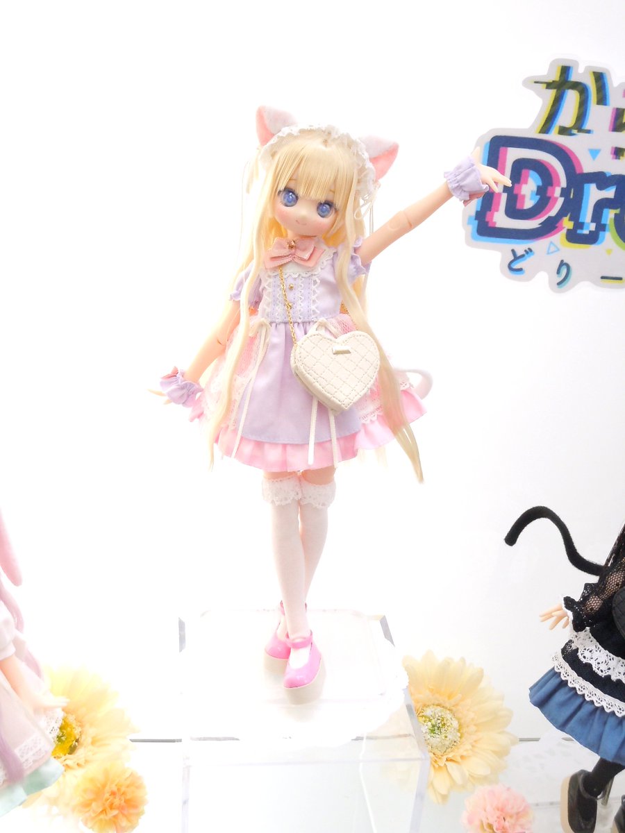 販売中🐱】 2026年1月1日(木・祝)発売！ からふるDreamin' めばえ ～A