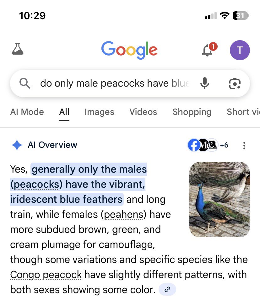 00_htwaqwilla's tweet image. TRUTH:
yao guang is transfem because only male peacocks have blue green feathers 👀