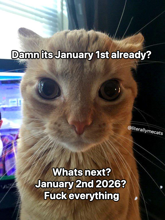 literallymecats's tweet image. 