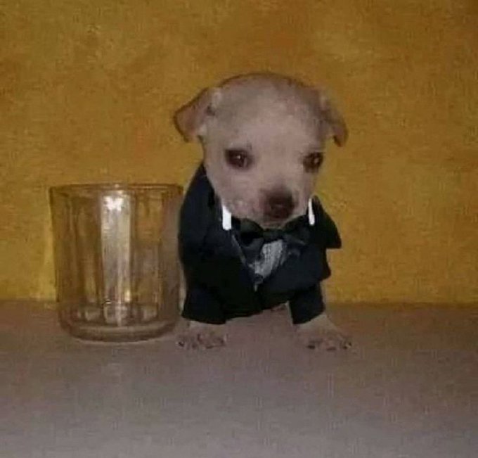 Feliz año nuevoooo!!!

Ya la cagué este 2026, vamos 2027 serás mi año⭐