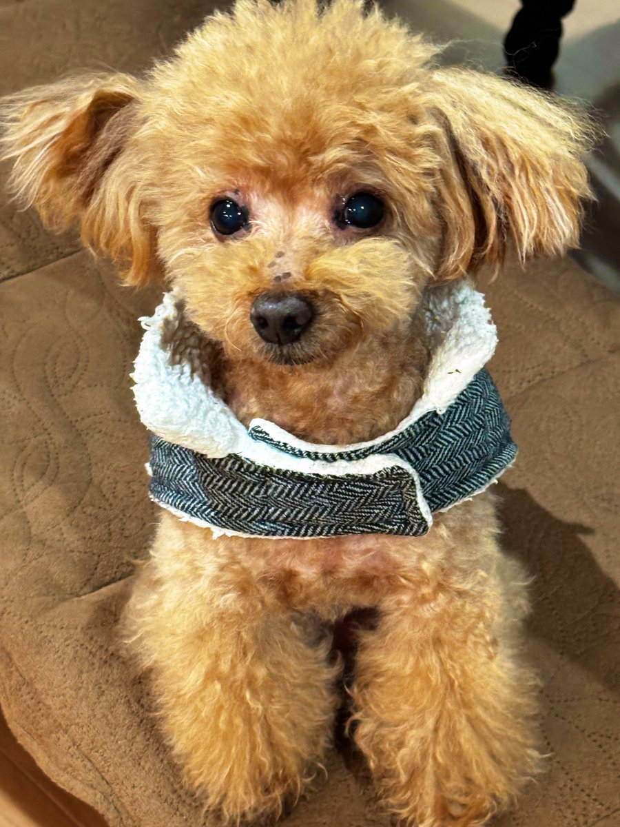 今年もお店でお待ちしております
“ジェム”