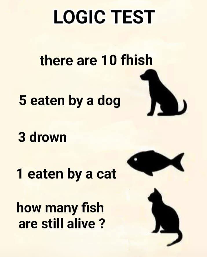 Nora_vibes 🇺🇸 tweet media