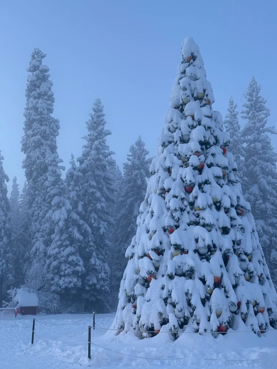 zencsdf's tweet image. I remember this scene happening last year