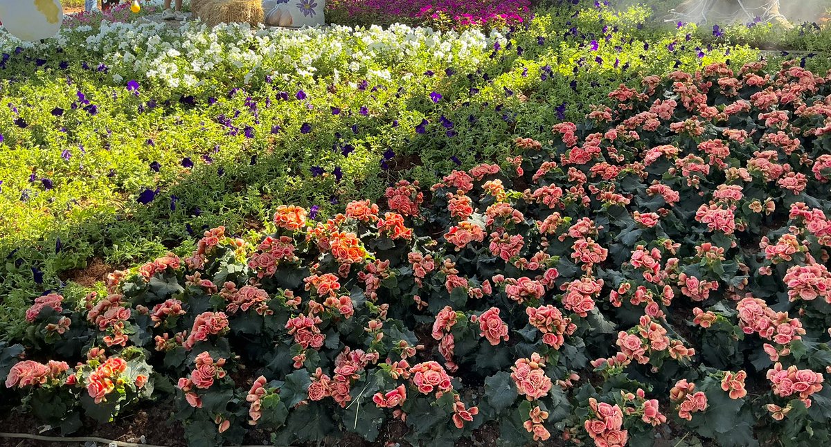 Mind_NPD's tweet image. 📸