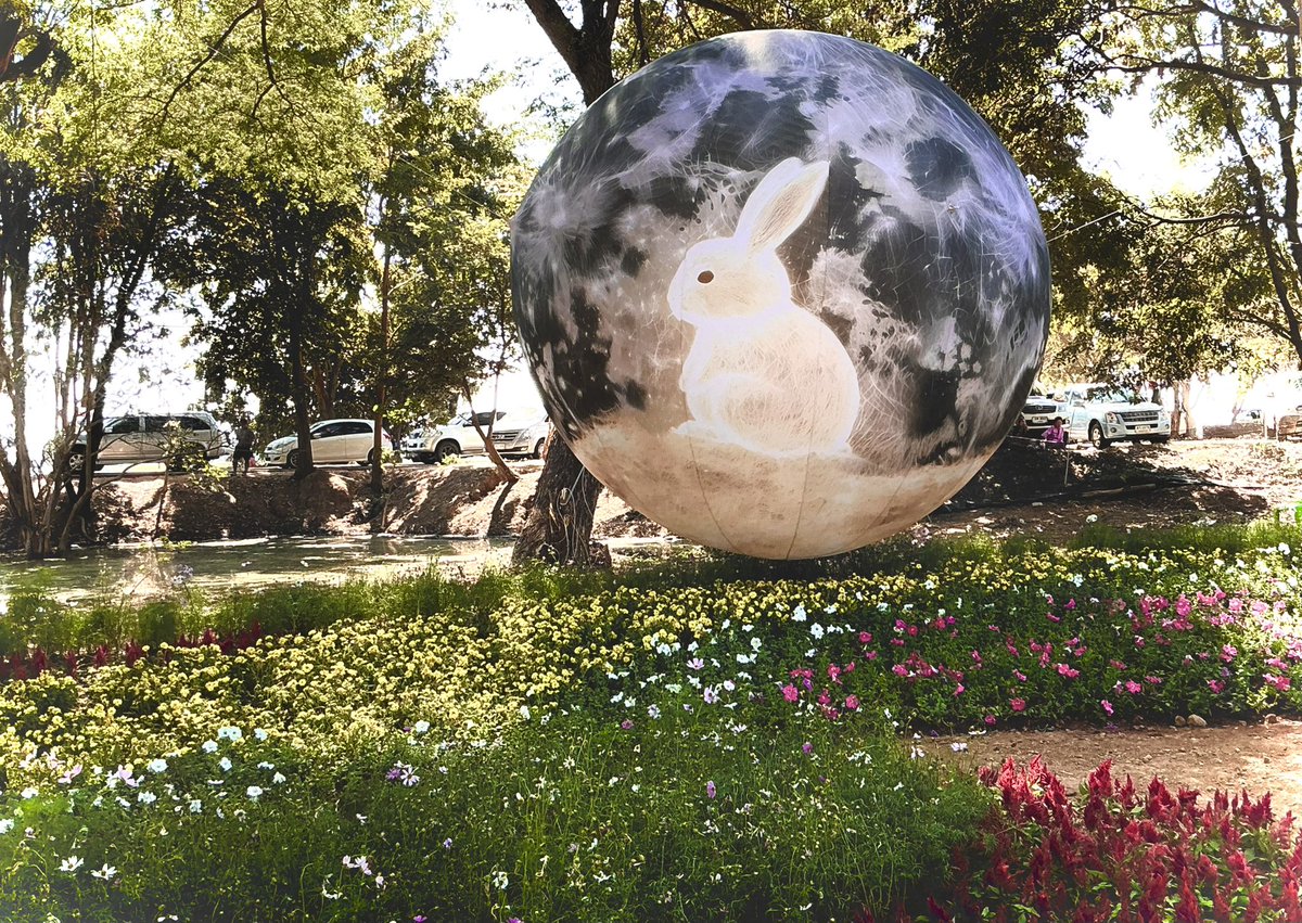 Mind_NPD's tweet image. 📸