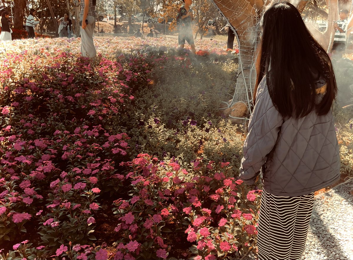 Mind_NPD's tweet image. 📸