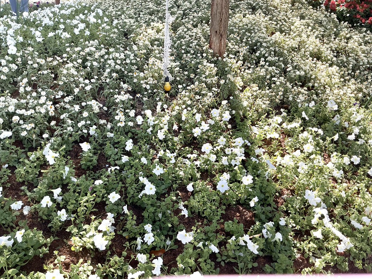 Mind_NPD's tweet image. 📸