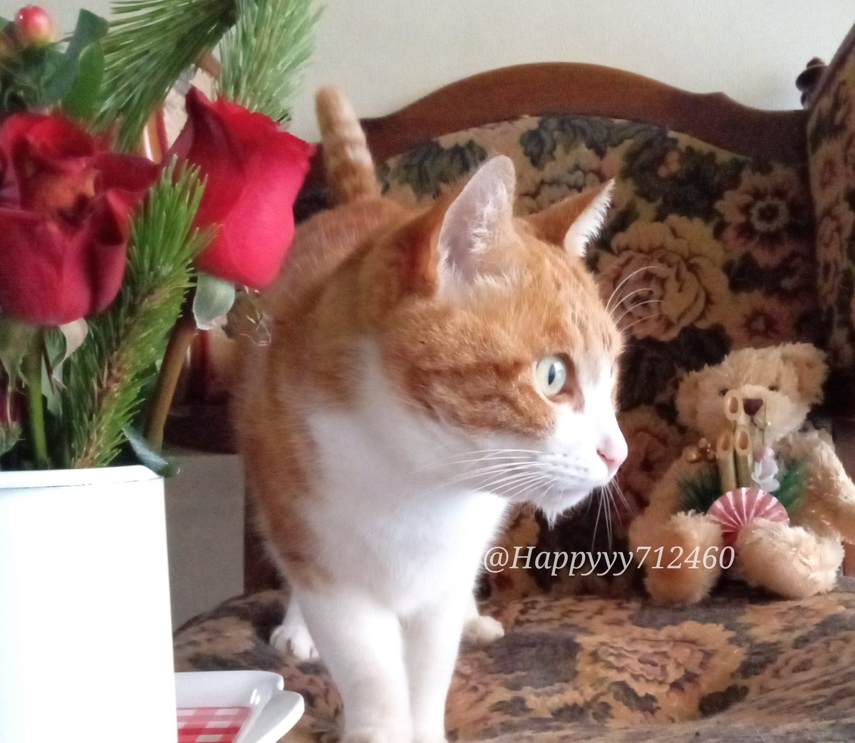 Happy.happy. (@Happyyy712460) / Posts / X