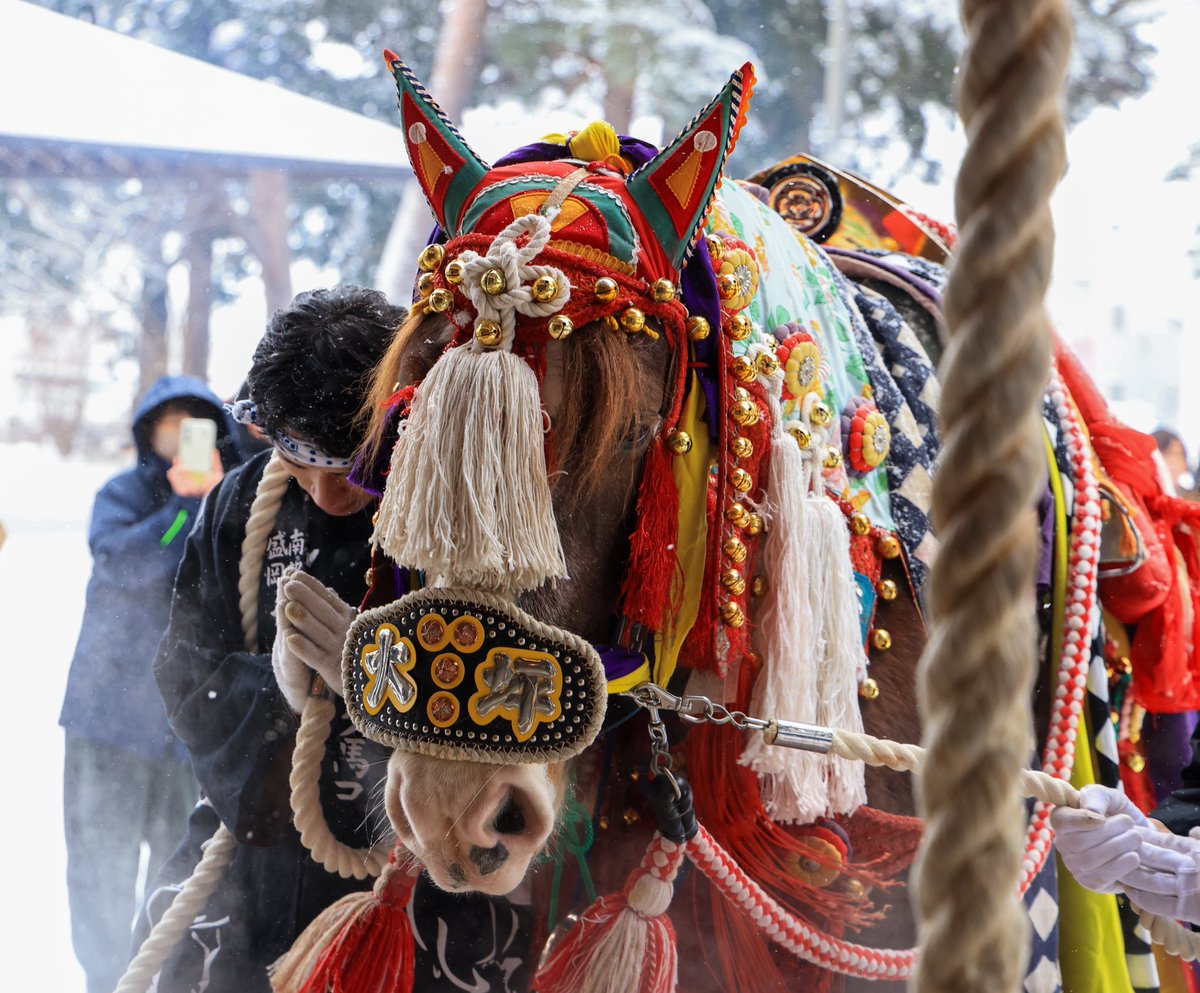 共に生きるってこういうこと

#チャグチャグ馬コ2026