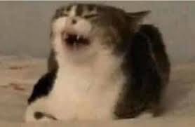 dumbnaths's tweet image. llevo un año sin bañarme