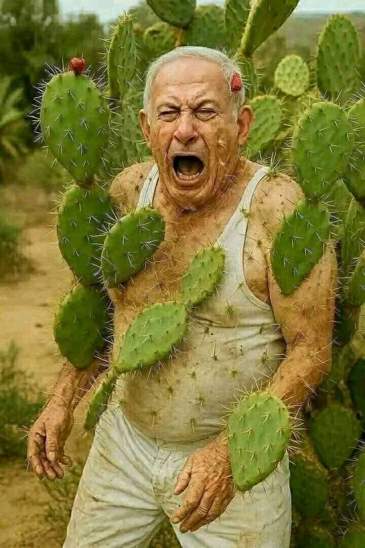 <a href="/tamerqdh/">Tamer | تامر</a> #عام_جديد_2026 إن شاء يتم إستقباله في جهـ.ـ.نم وبئس المصير بحق هذا العام الجديد
قولوا آمين🤲🤲