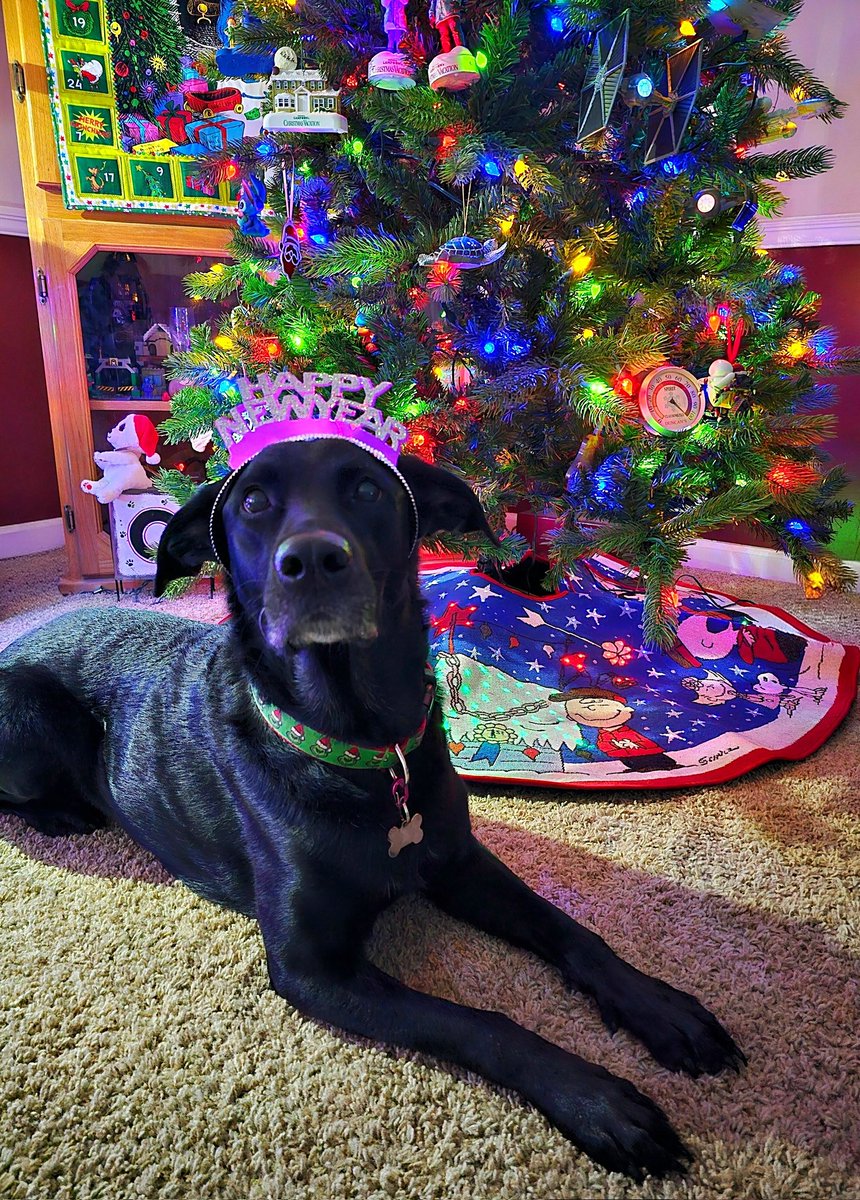 PacBlue's tweet image. Happy New Year! 🎉