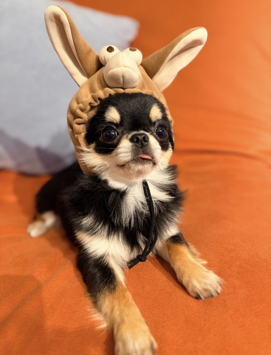 tan様用(⁠ノ⁠◕⁠ヮ⁠◕⁠)⁠ノ⁠*⁠.⁠✧ Ancient Greek, Hellenistic Terracotta Tanagra goddess figure. 19
