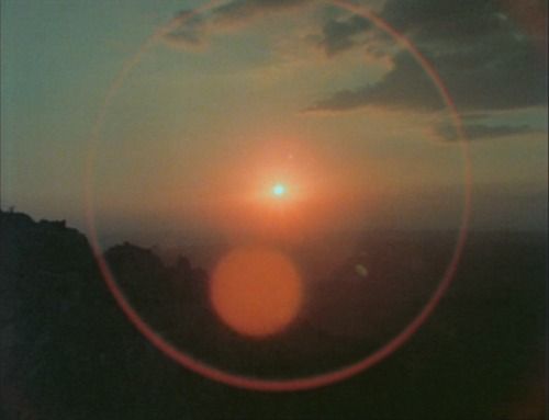 moon babe 🌙🌴 geminis and scorpios' lawyer tweet media