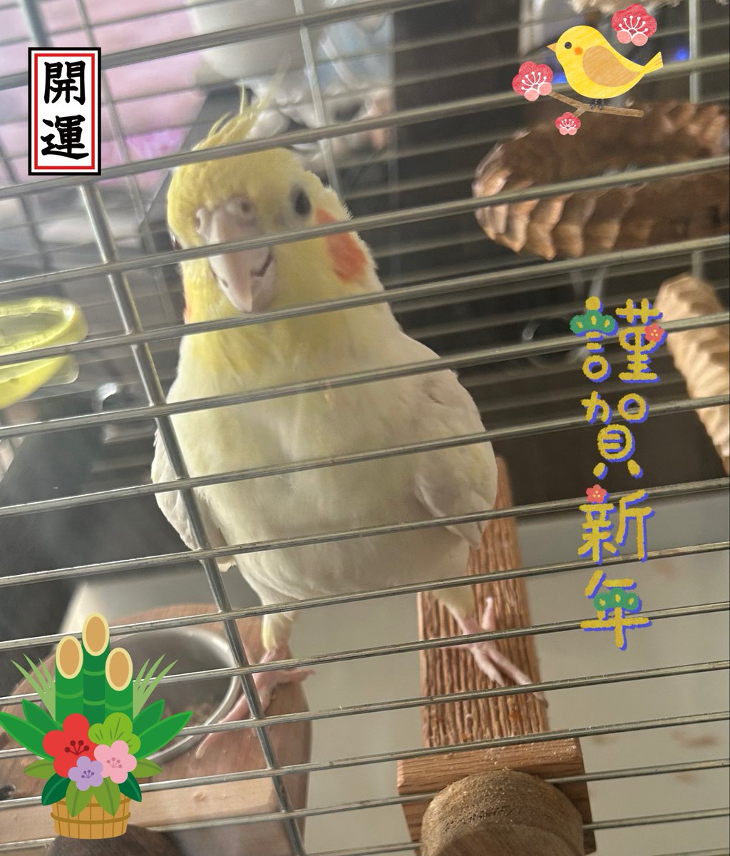 ぴっぴ (@pippi719) / Posts / X