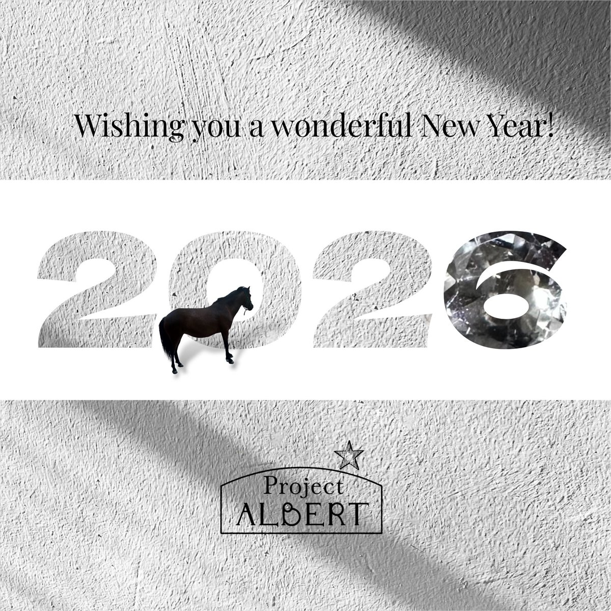 ✨🎍謹賀新年🎍✨

💎今年も💎
💎よろしくお願いいたします💎