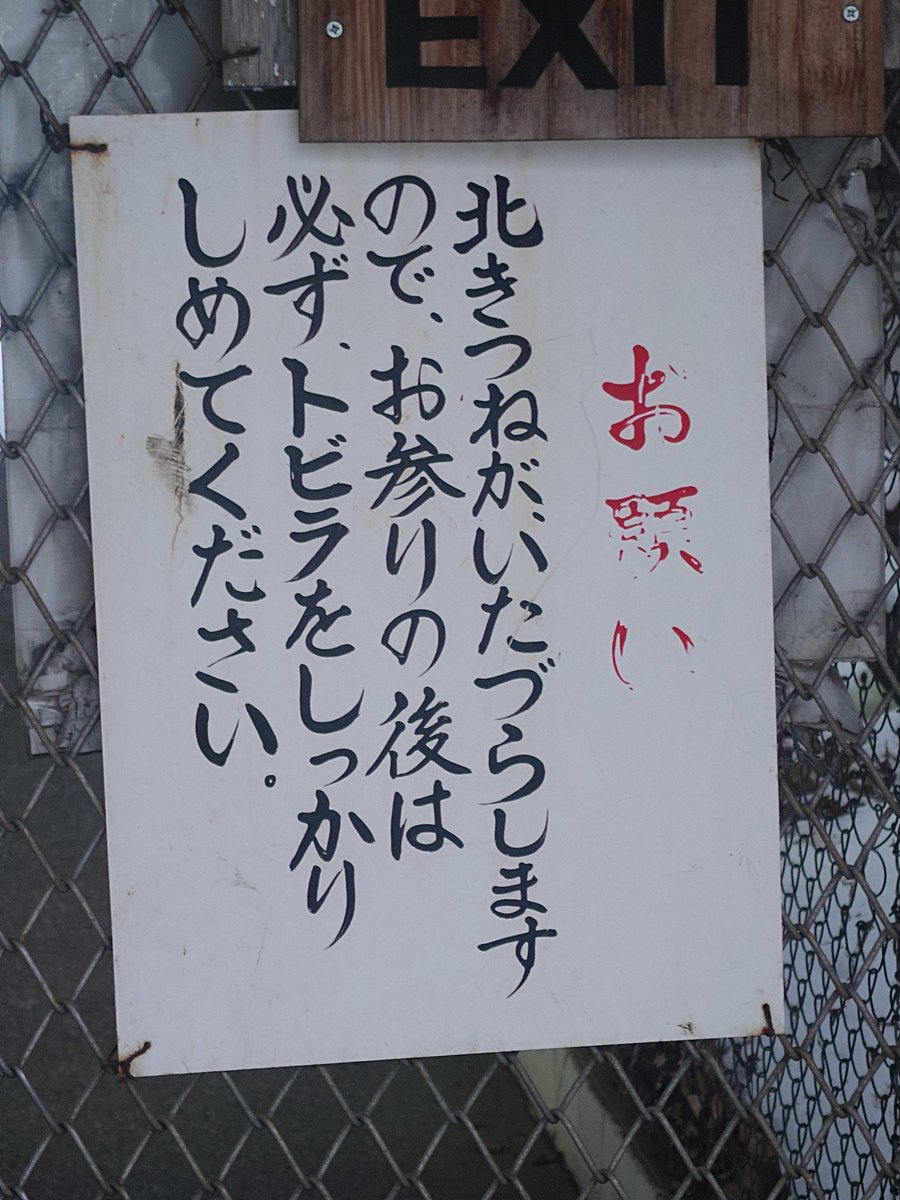 猫に古銭 (@halfdollar1858) / Posts / X