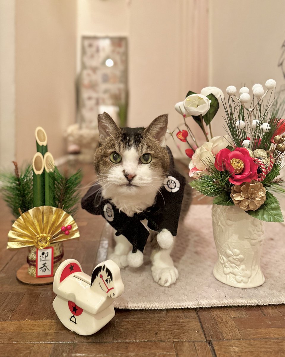 Tiny* (@I_Love_Tiny) / Posts / X