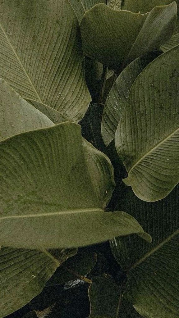 tinkerbeyi's tweet image. ͏

͏