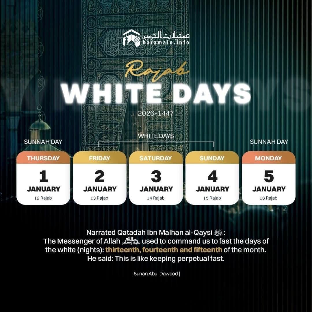 Three White Days tweet media