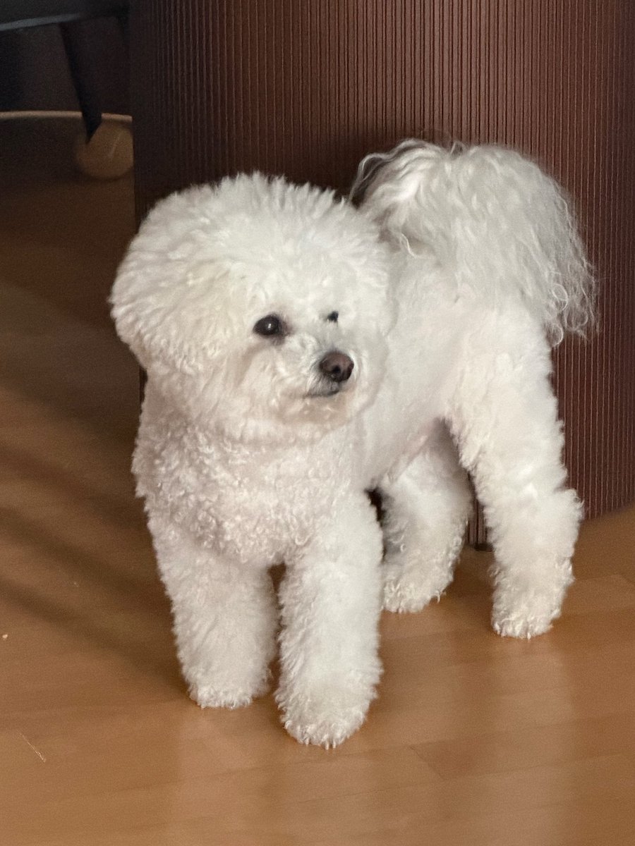 gunilbbl's tweet image. 💌 3.47PM