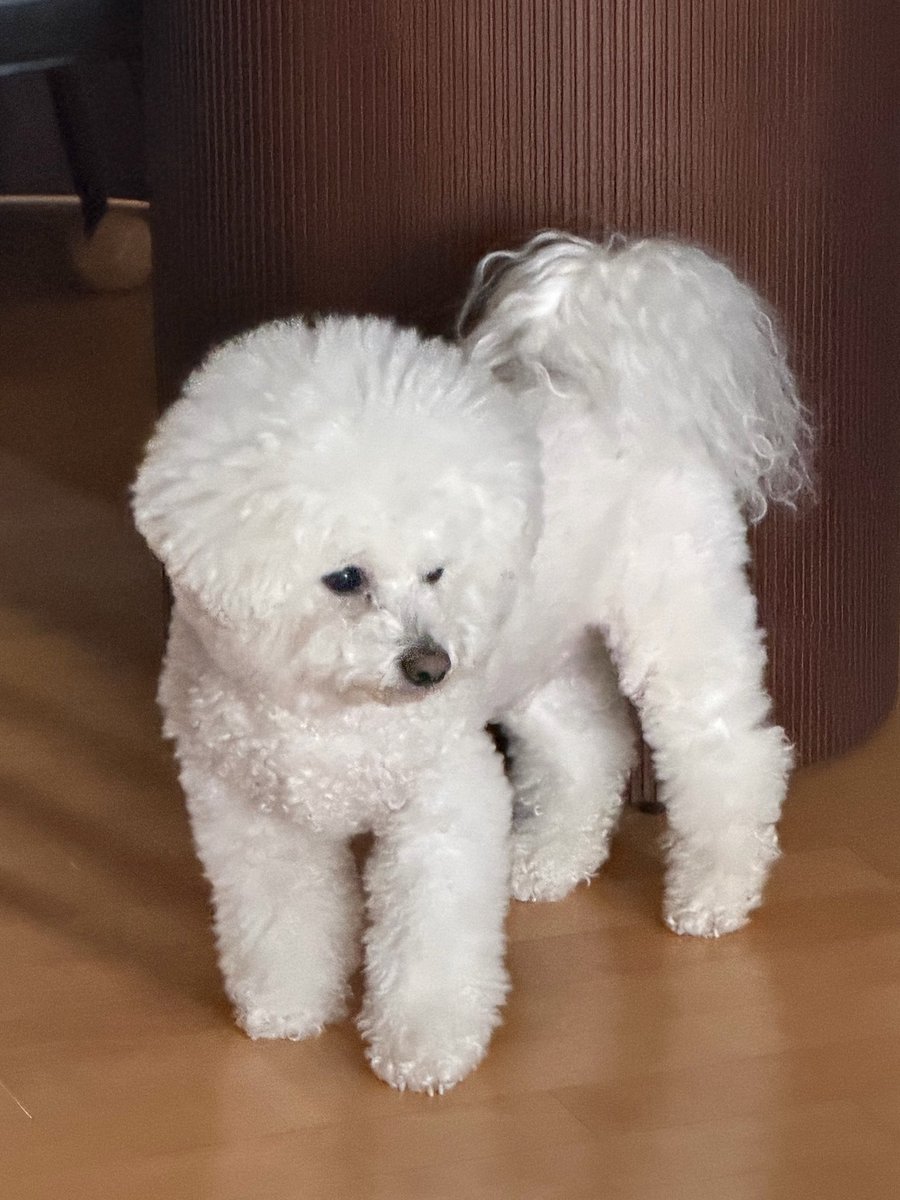 gunilbbl's tweet image. 💌 3.47PM