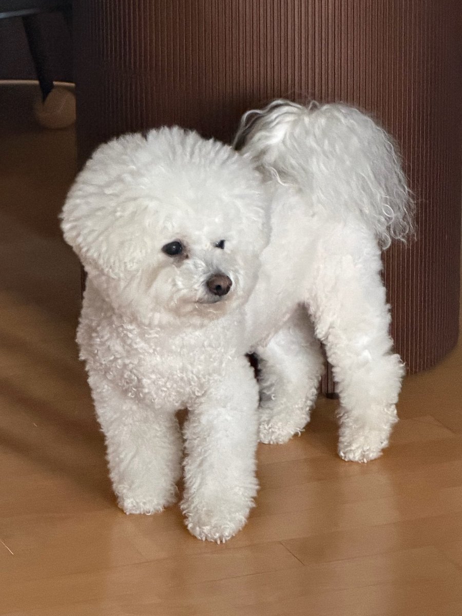 gunilbbl's tweet image. 💌 3.47PM