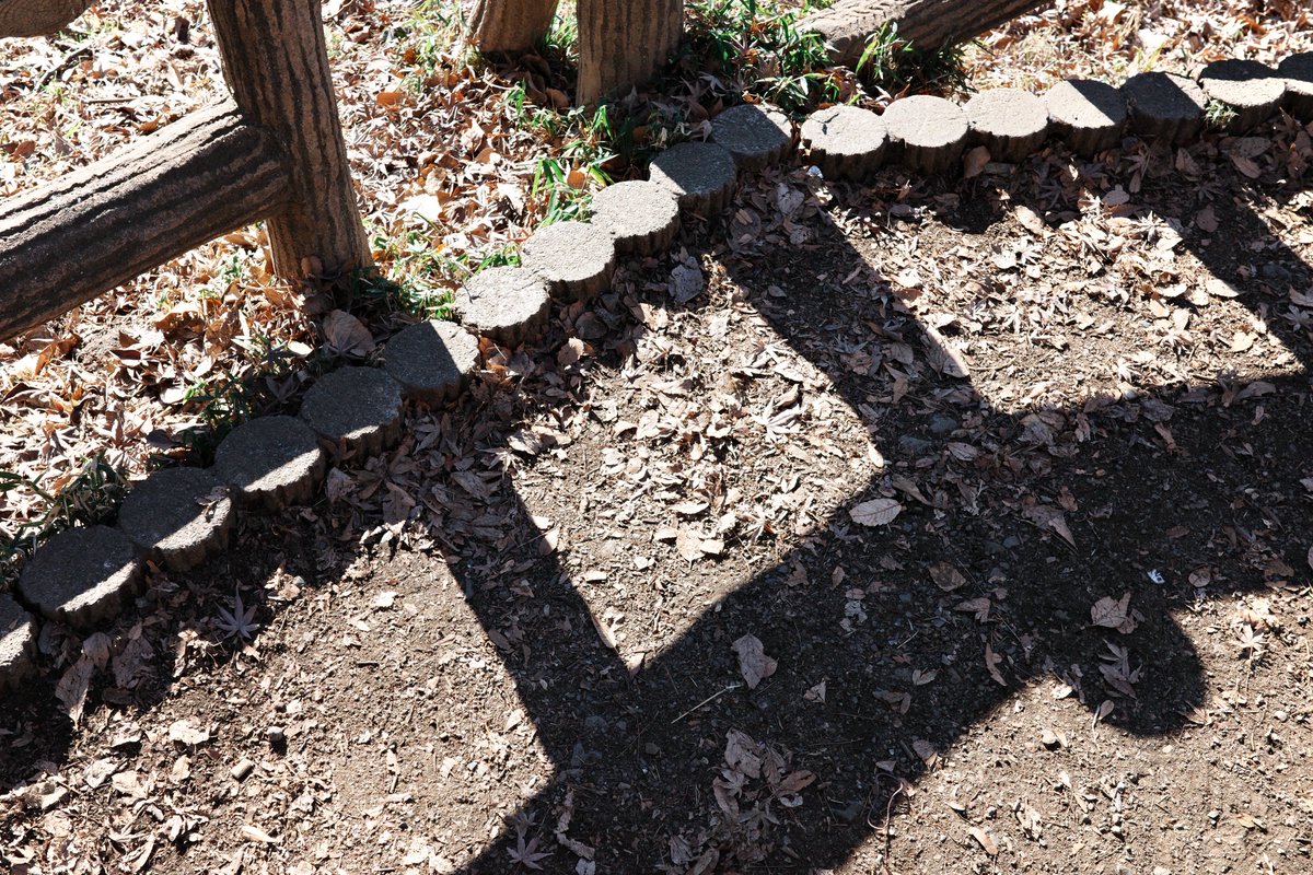 吉祥寺散歩。
X-T50が気になる。