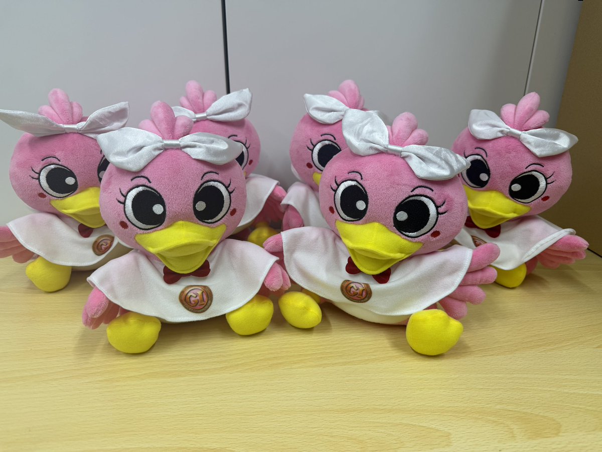 📢年始運試しプレゼントキャンペーン開催📢／ ボートレース浜名湖にて