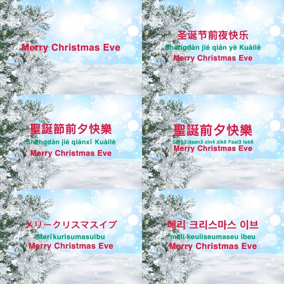 dalmatian_ryan's tweet photo. Merry Christmas Eve https://t.co/gspI6w4uqD