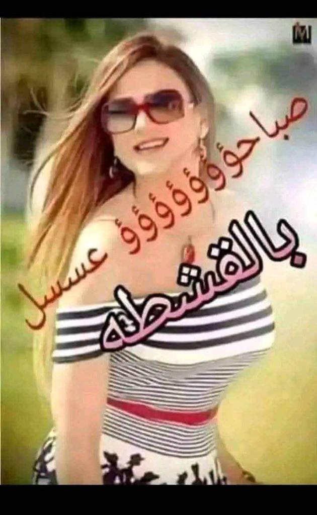 MntsrHashm's tweet photo. @Ich_ugur1 https://t.co/E4dJ7MPoL7