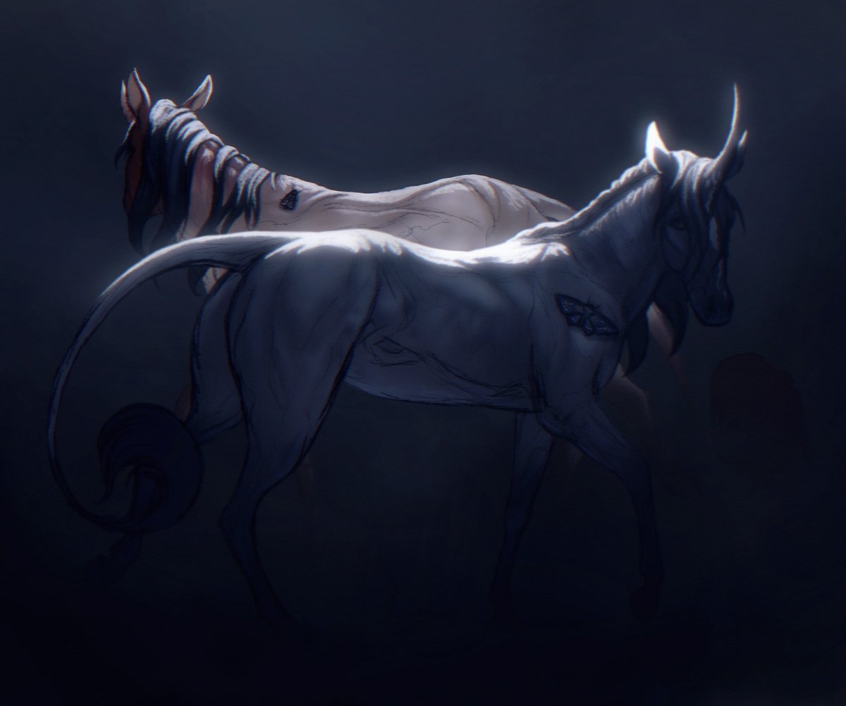 Horse year horse year horse year