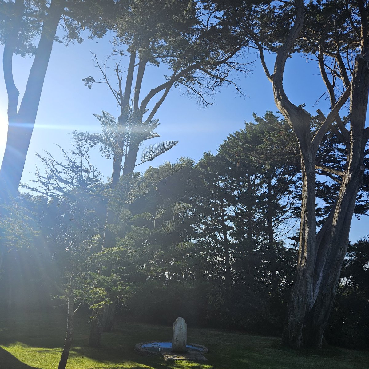 Carmela Silva tweet media