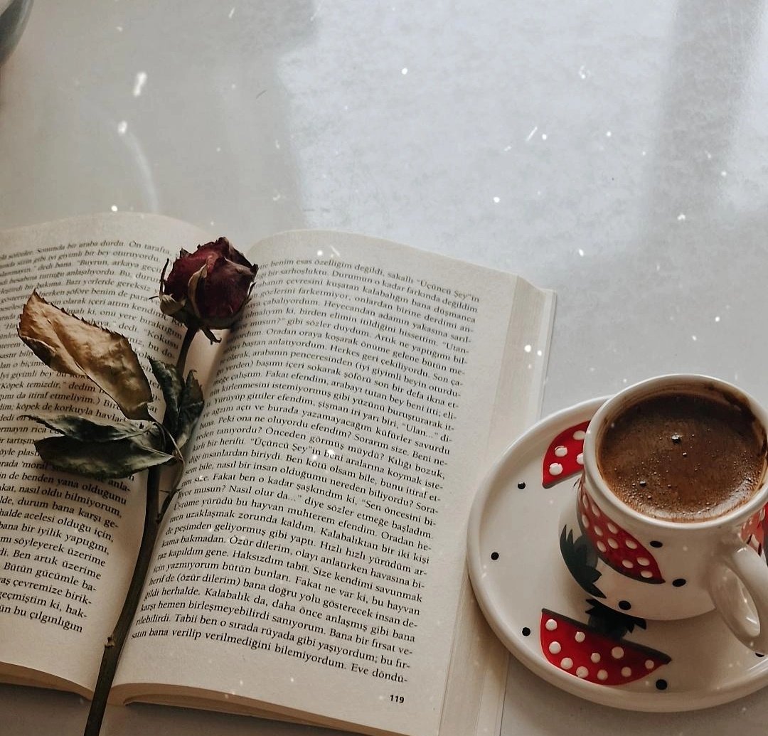 Bu soğukta yapılabilecek en güzel aktivite kitap okumak bence🤗